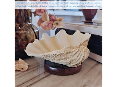 Ciotola di Cocco per Piante Guscio Non Lucidato Incisione Ciotole e Piatti di Legno