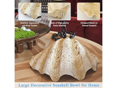 Ciotola di Cocco per Piante Guscio Non Lucidato Incisione Ciotole e Piatti di Legno