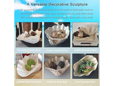 Ciotola di Cocco per Piante Guscio Non Lucidato Incisione Ciotole e Piatti di Legno