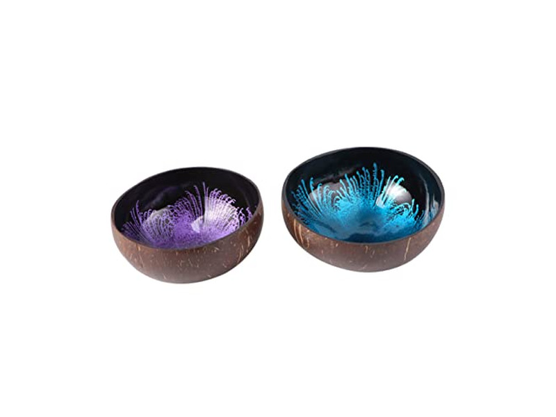 Ciotola di Cocco con Motivo per Insalate Ciotole Personalizzate di Alta Qualità