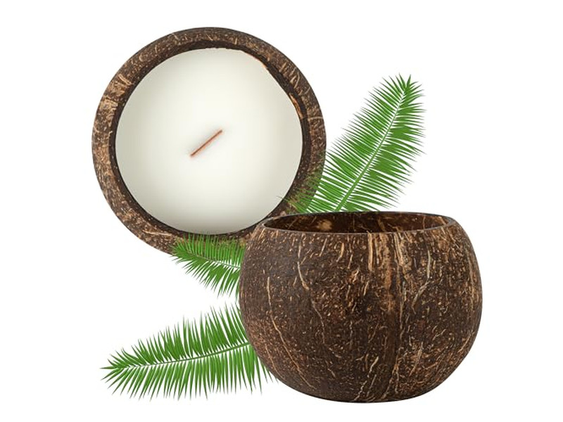 Coconuts Freschi Organici Vendita Gusci di Cocco Ciotola Fatta a Mano Cera