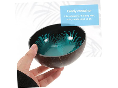 Ciotole di Cocco per Acai Shell Sala Contenitore Chiave Mini Set