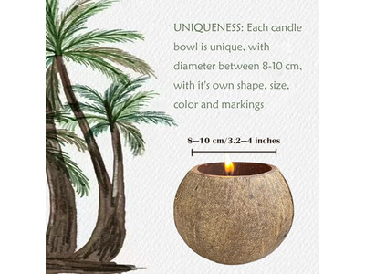 Ciotola Tinta Eco-Friendly Rotonda per Pizza Decorativa Ciotole di Insalata di Guscio di Cocco