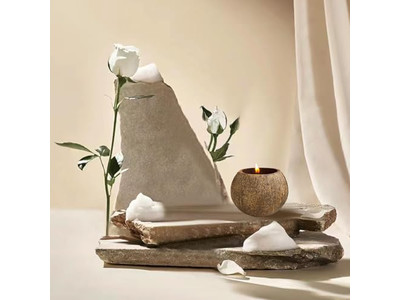 Ciotola Tinta Eco-Friendly Rotonda per Pizza Decorativa Ciotole di Insalata di Guscio di Cocco