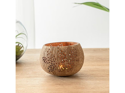 Ciotola per Insalata con Coperchio Cocco Colorato per Animali Domestici Sana Durevole Tendenze Vietnamite