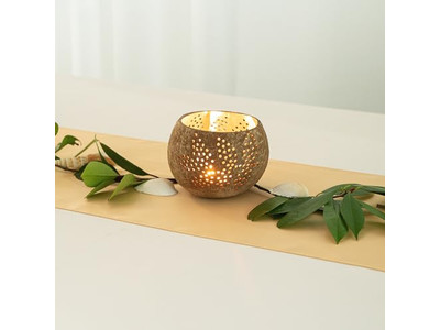 Ciotola per Insalata con Coperchio Cocco Colorato per Animali Domestici Sana Durevole Tendenze Vietnamite