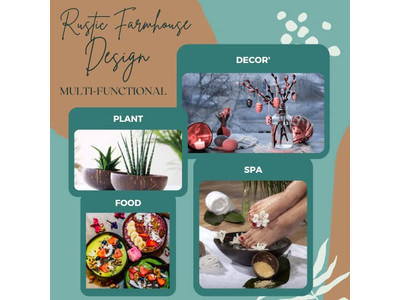 Piccole Ciotole di Cocco Acquista Ciotole per Bambini Mini Vendi Coconuts Incisi Frullatore Acai