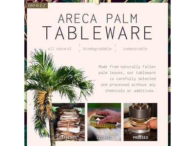 Ciotola di Cocco Vegana con Supporto Legno Naturale Prezzo Economico Ciotole in Vietnam