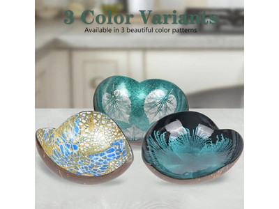 Set di Ciotole di Legno Grande Cocco Coperchio Crudo Decorazioni Calde Prodotti Artigianali